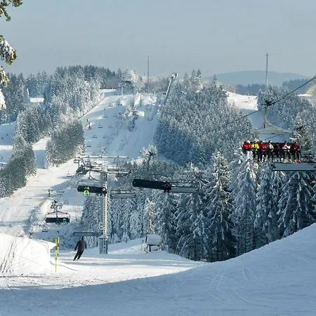 Vakantiehuis Holzhaus Heidedorf Winterberg