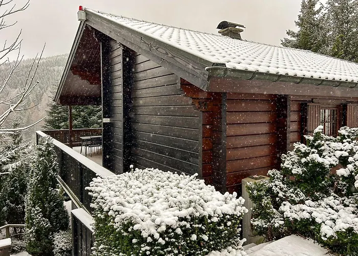 Сasa de vacaciones Holzhaus Heidedorf Winterberg